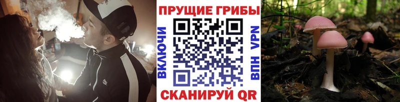 Галлюциногенные грибы Magic Shrooms  Вольск 